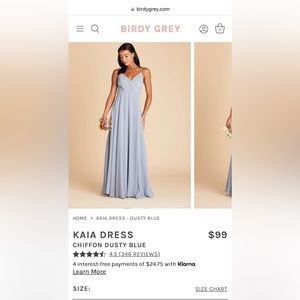 Birdy Grey bridesmaid dress, CHIFFON DUSTY BLUE, kaia dress, size medium